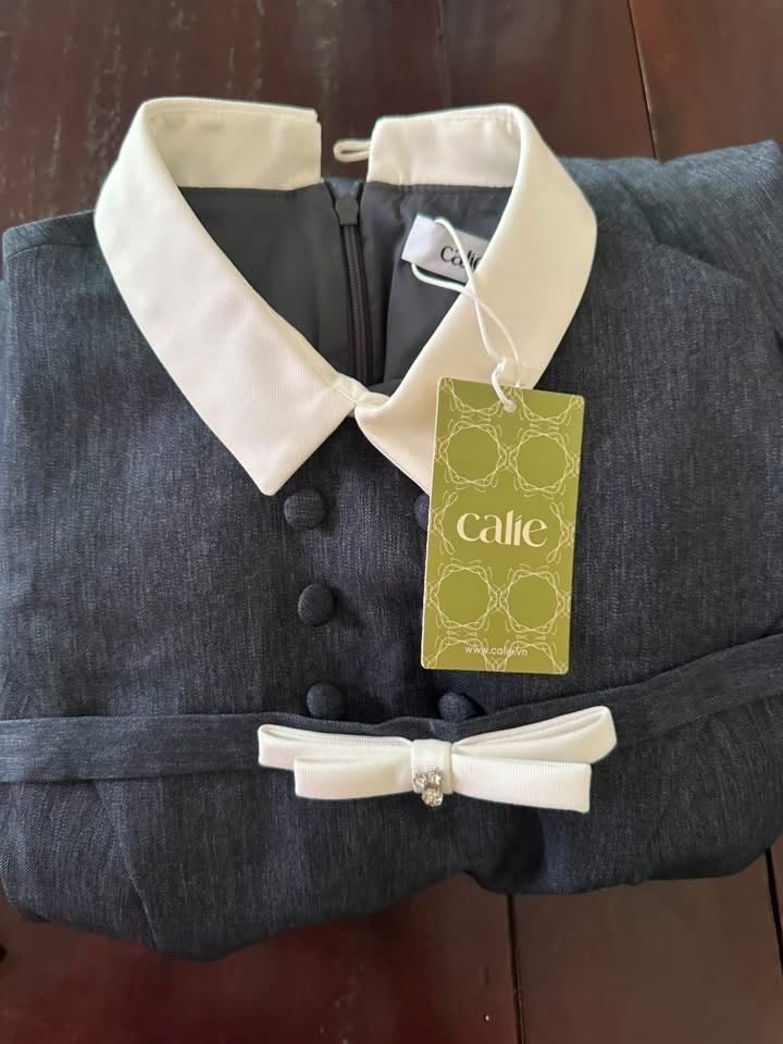 Thanh lý Pass Váy Vintage Calie Màu Xanh Ghi Cổ Trắng Thanh Lịch - ảnh 4