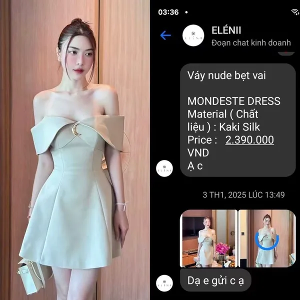 Pass đầm ngắn trễ vai Elénii dáng xòe màu nude sang trọng Size S 